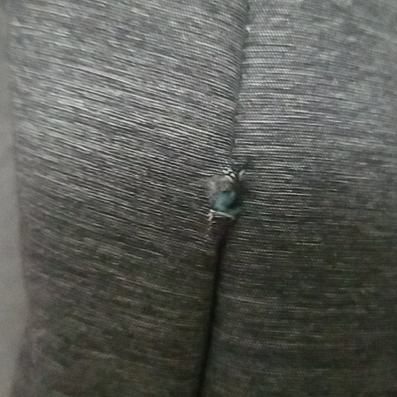 Lightweight Jacket - Picture 5 of 5